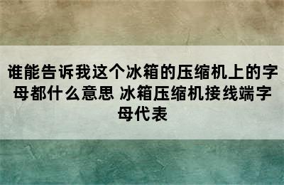 谁能告诉我这个冰箱的压缩机上的字母都什么意思 冰箱压缩机接线端字母代表